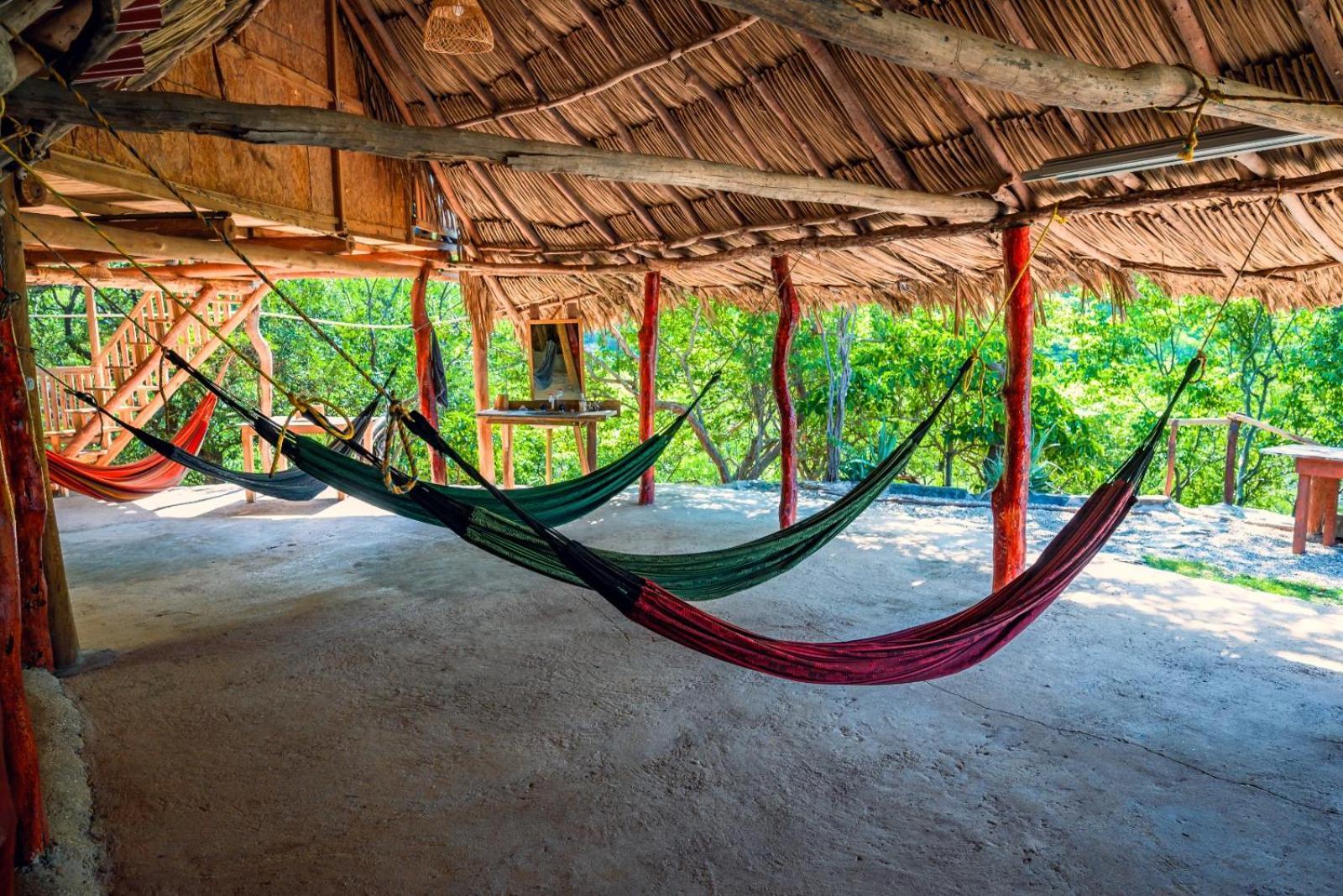 Mirador Playa Cristal Tayrona Hotel Nenguange Værelse billede