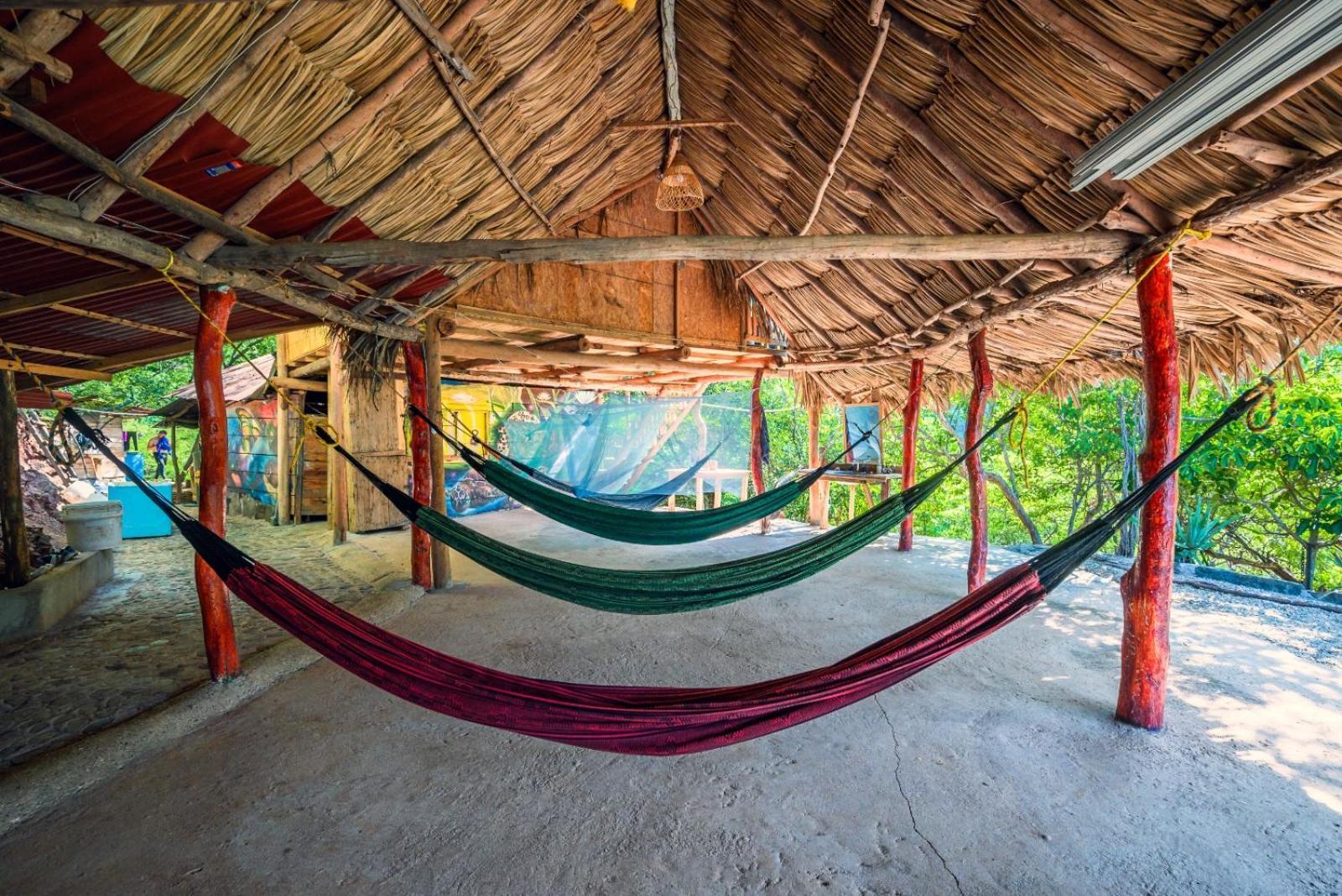 Mirador Playa Cristal Tayrona Hotel Nenguange Værelse billede
