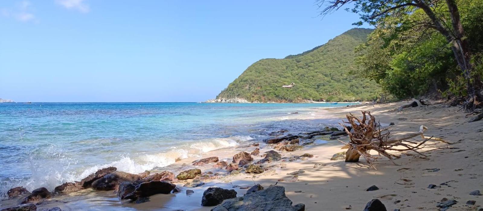 Mirador Playa Cristal Tayrona Hotel Nenguange Eksteriør billede
