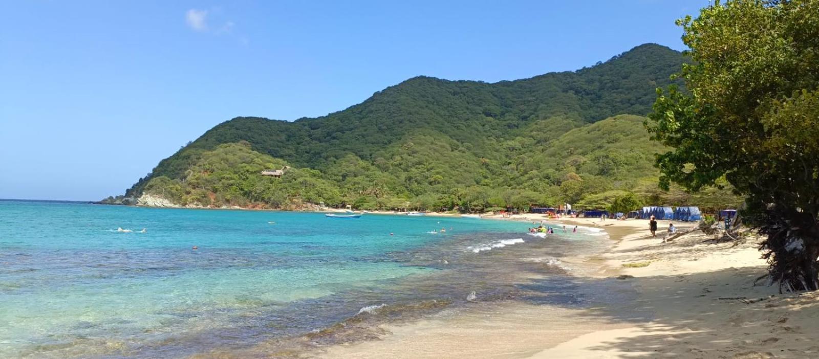 Mirador Playa Cristal Tayrona Hotel Nenguange Eksteriør billede