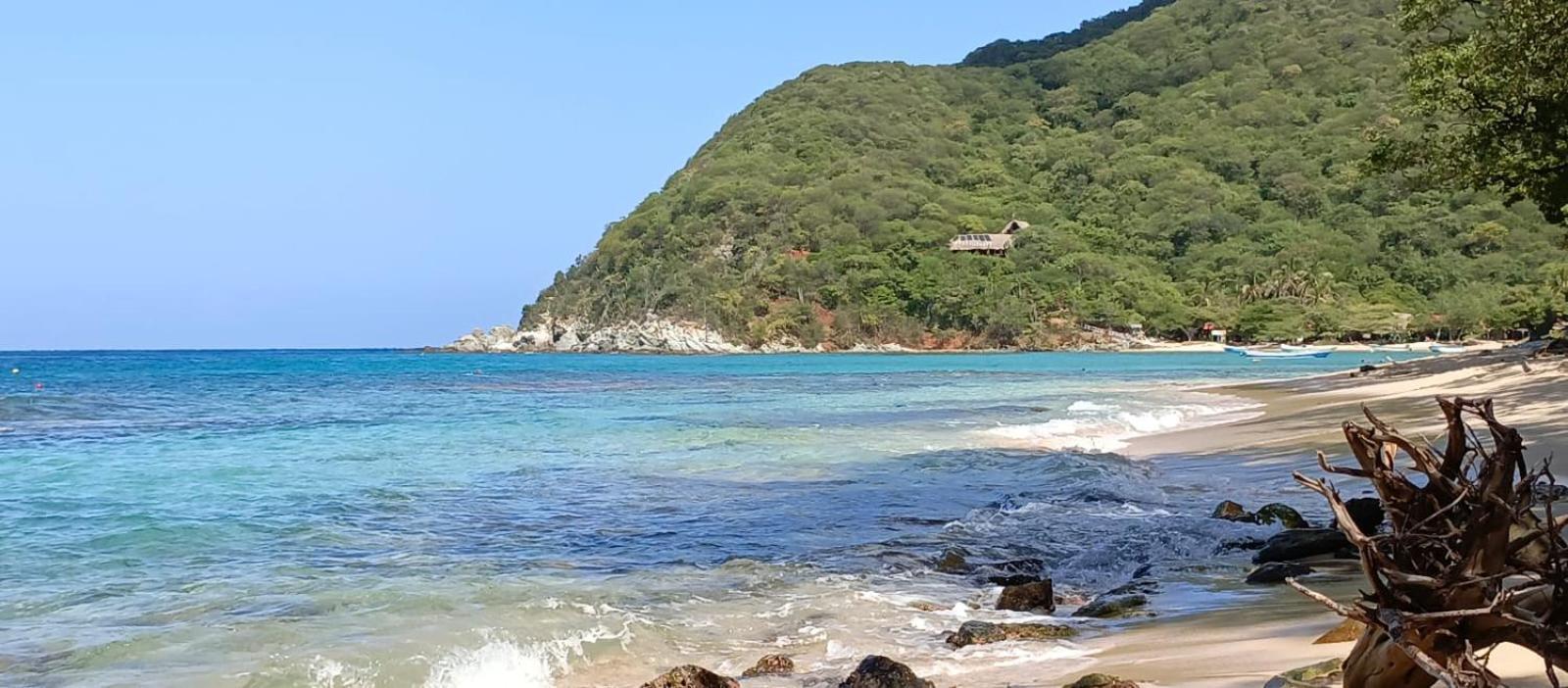 Mirador Playa Cristal Tayrona Hotel Nenguange Eksteriør billede