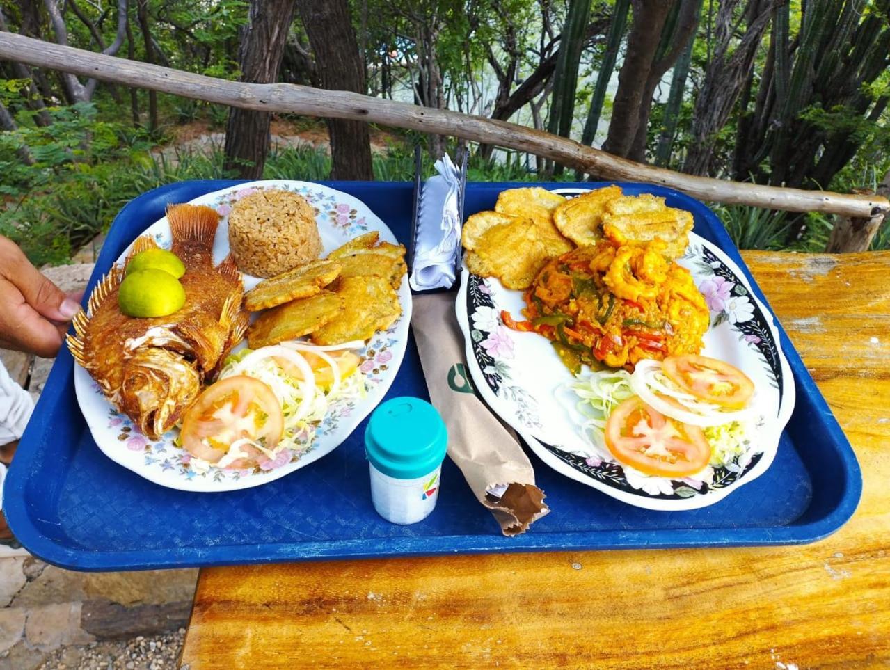 Mirador Playa Cristal Tayrona Hotel Nenguange Eksteriør billede
